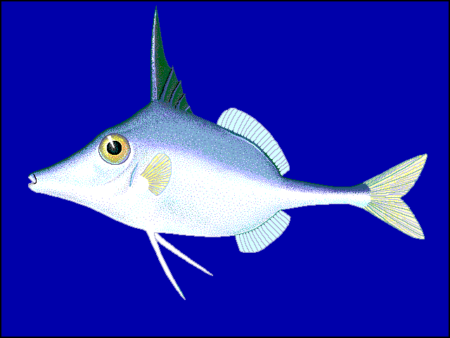 Dreistachler