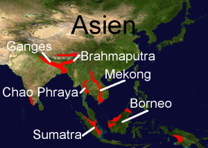 Süßwasserkugelfischvorkommen in Asien